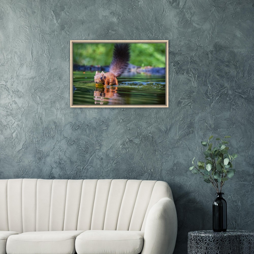 Red Squirrel sun lit in water - Fine art Framed Canvas - Image 7