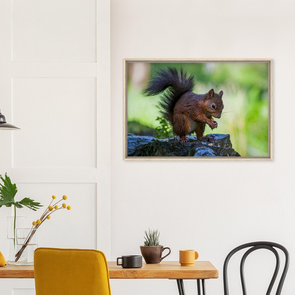 Red Squirrel With An Acorn - Fine art Framed Canvas - Image 6