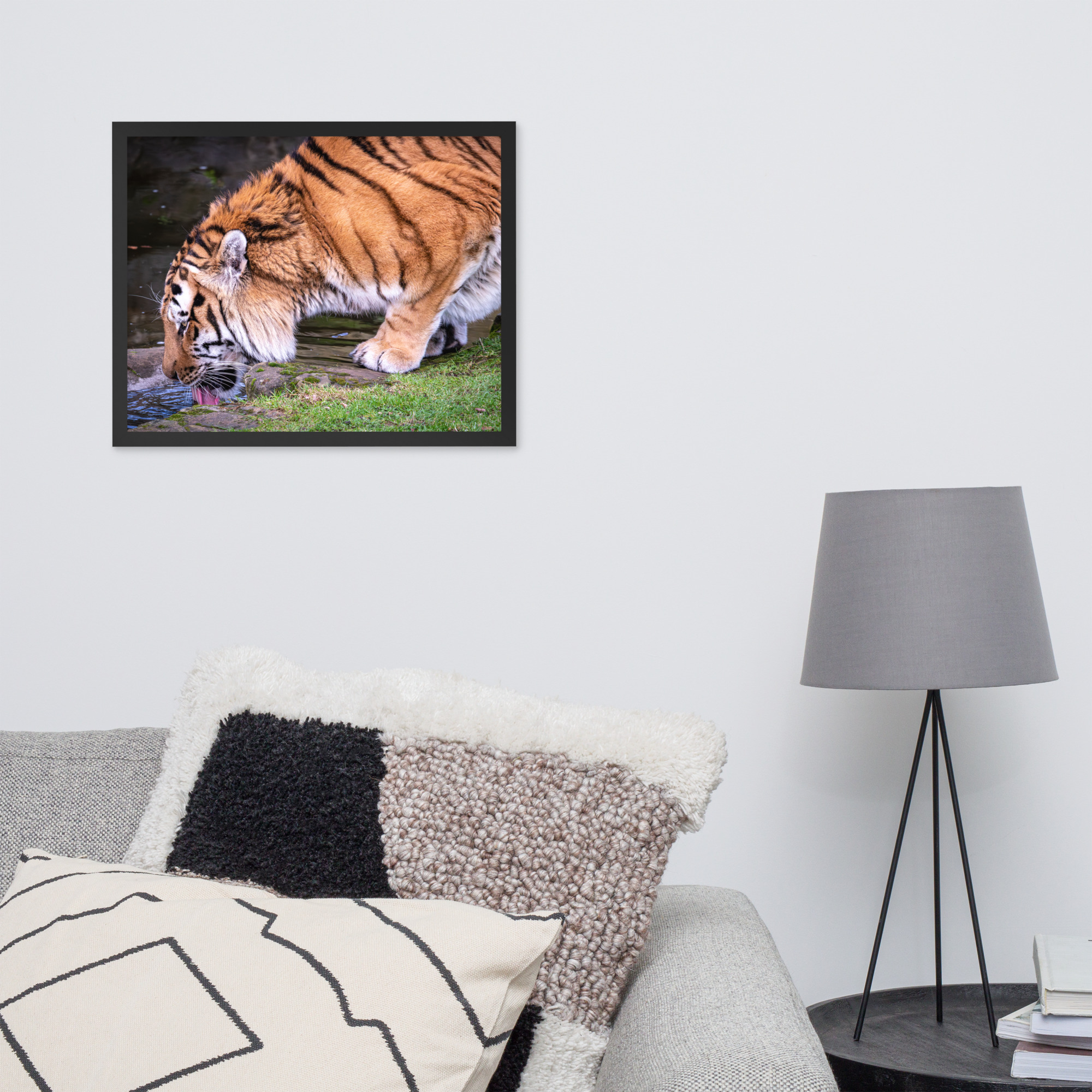 Male Amur Tiger - Framed fine art print - Image 8
