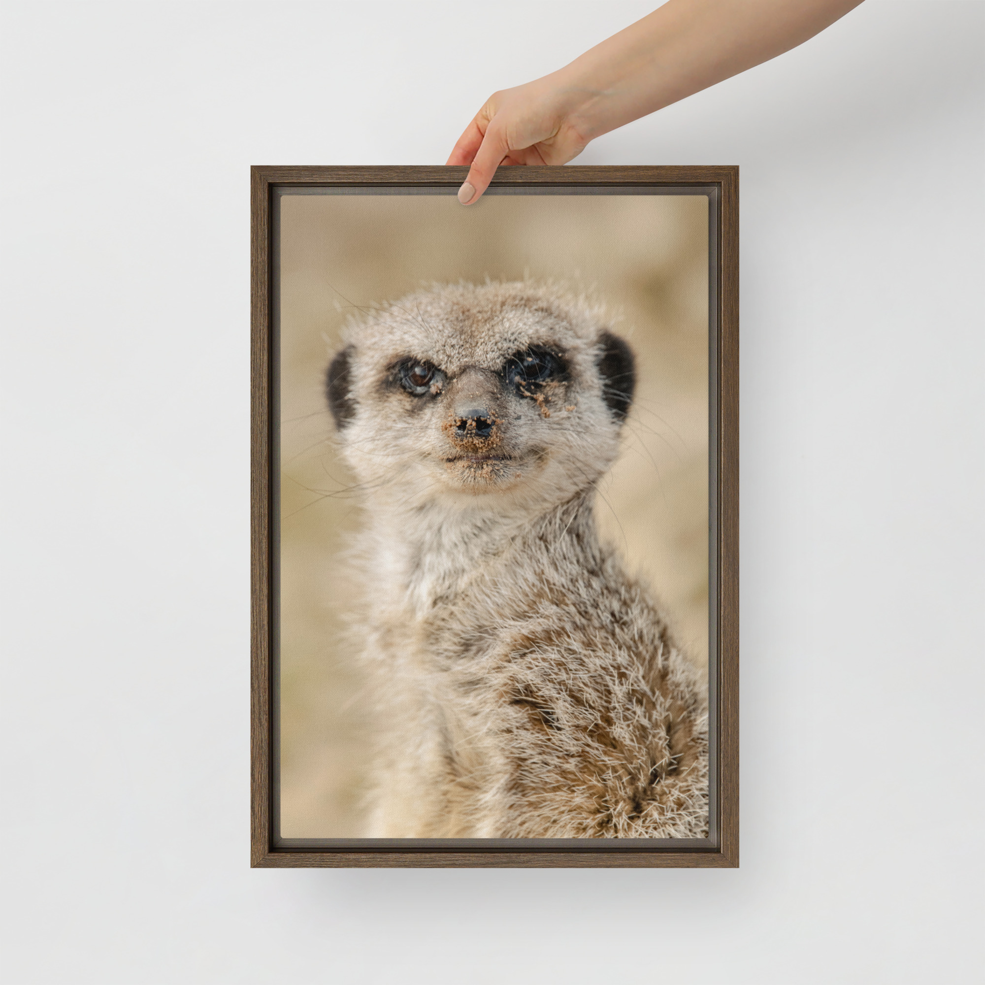 Dreamy Meercat - Framed fine art canvas - Image 3