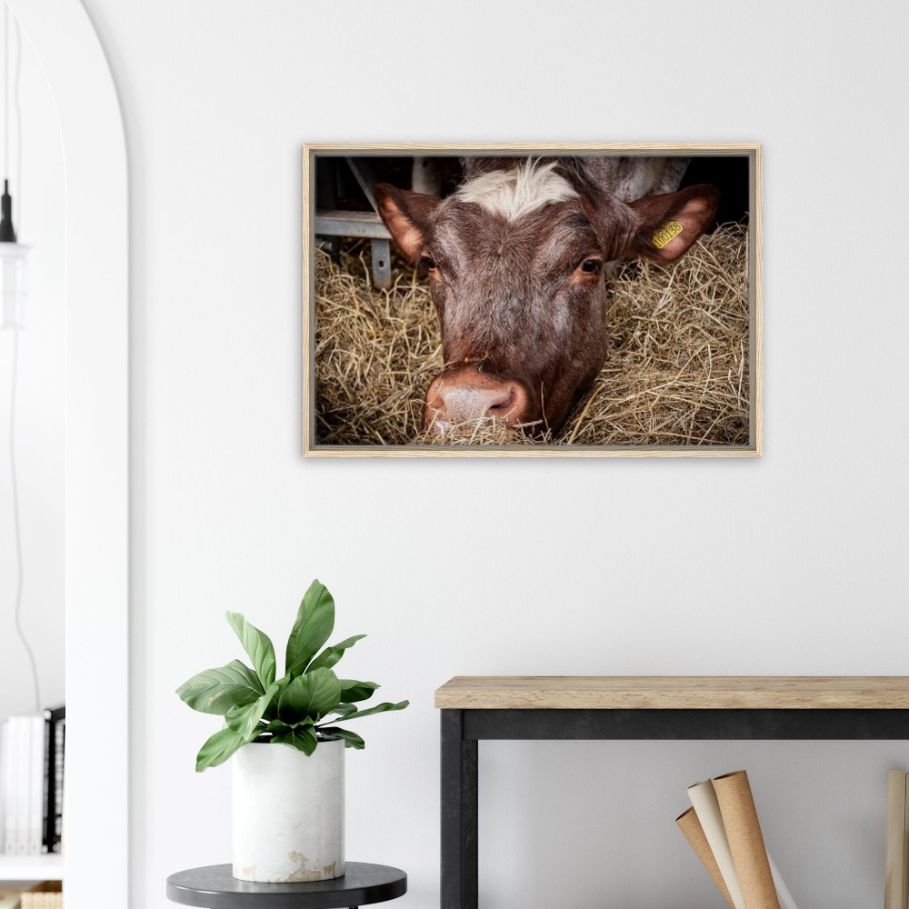 Hungry Cow - Framed Canvas - Image 2