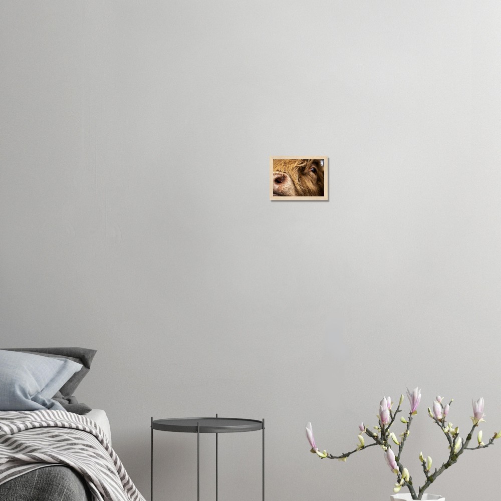 Highland Cow Nose - Wooden Framed Print - Image 3