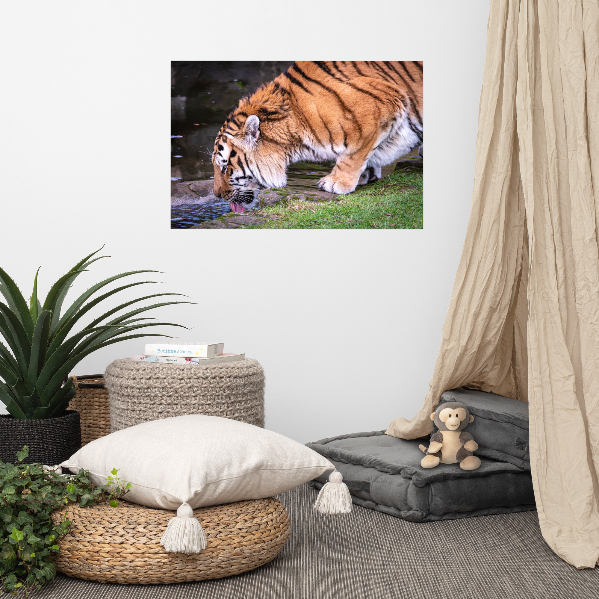 Male Amur Tiger - Fine art print - Image 5