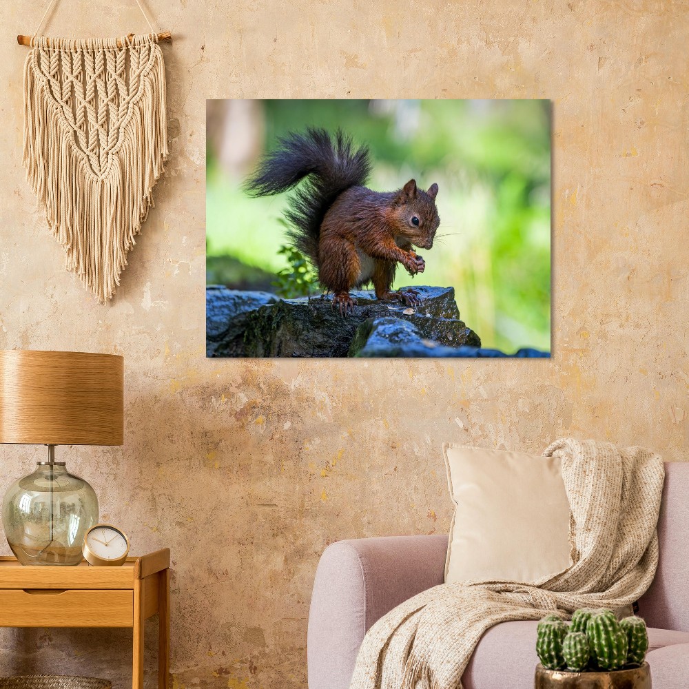 Squirrel With An Acorn - Fine Art Print - Image 5
