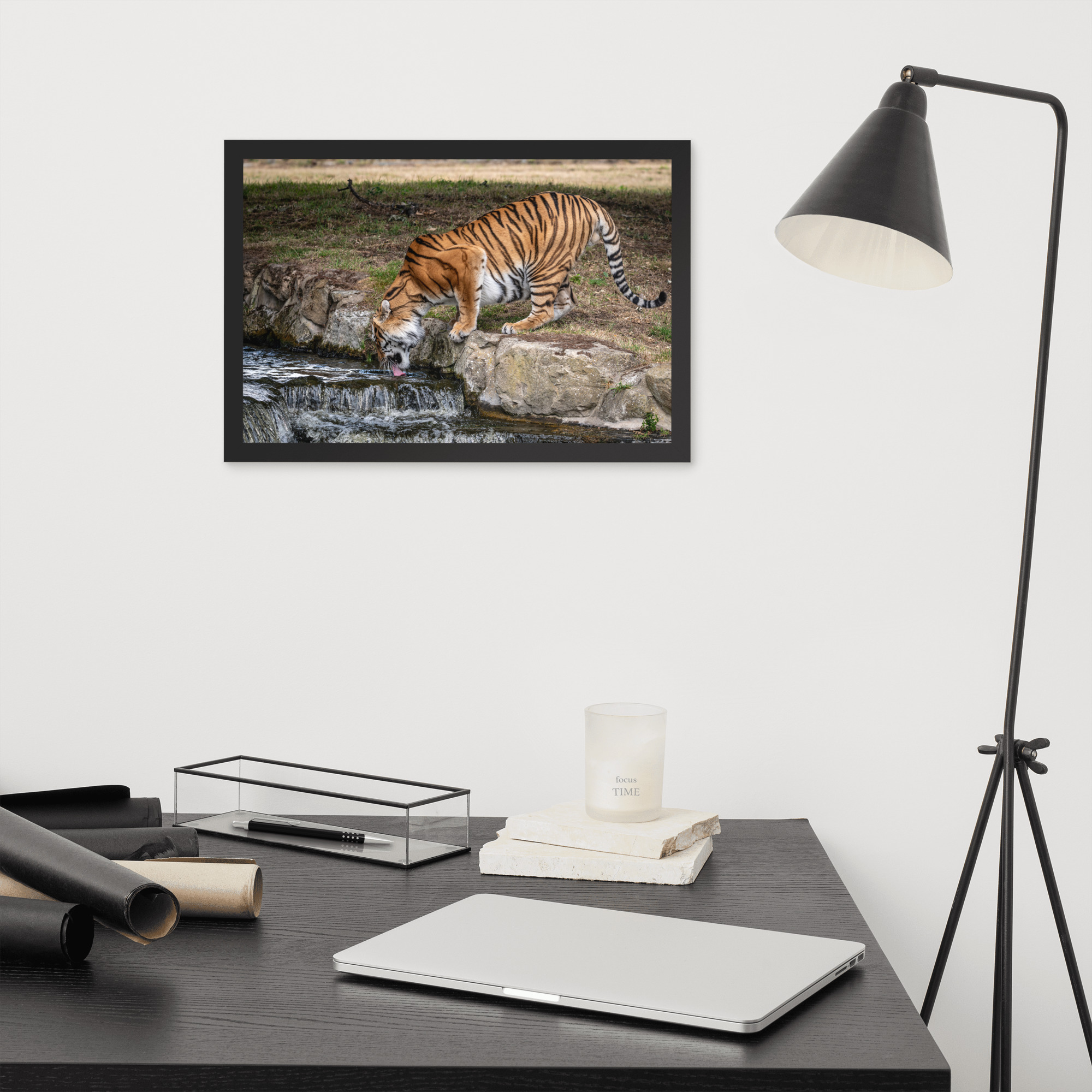 Amur Tiger drinking - Framed fine art print - Image 9