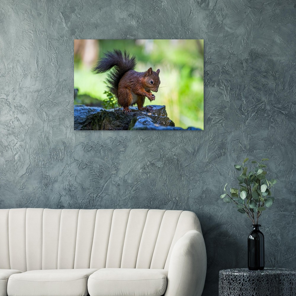 Squirrel With An Acorn - Aluminum Fine Art Print - Image 4