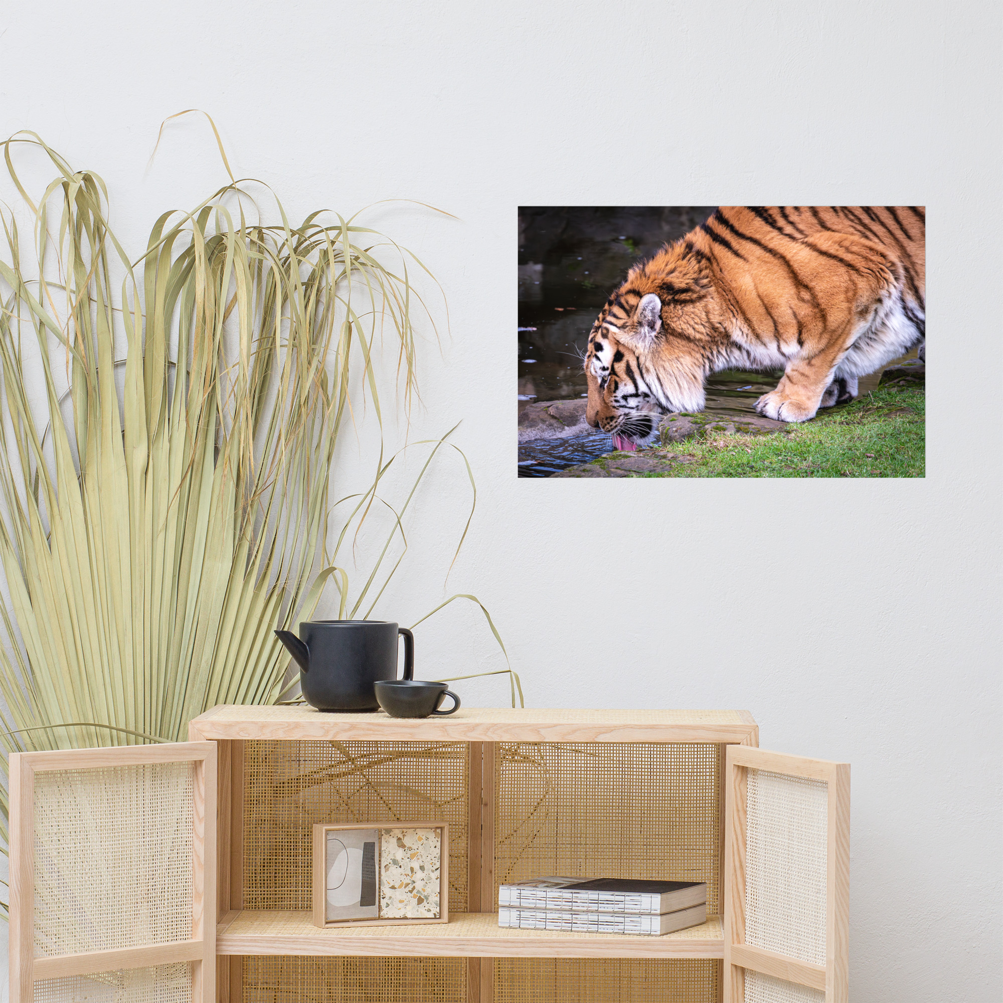 Male Amur Tiger - Fine art print - Image 7