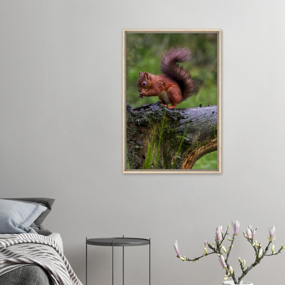 Red Squirrel - Framed Canvas - Image 6