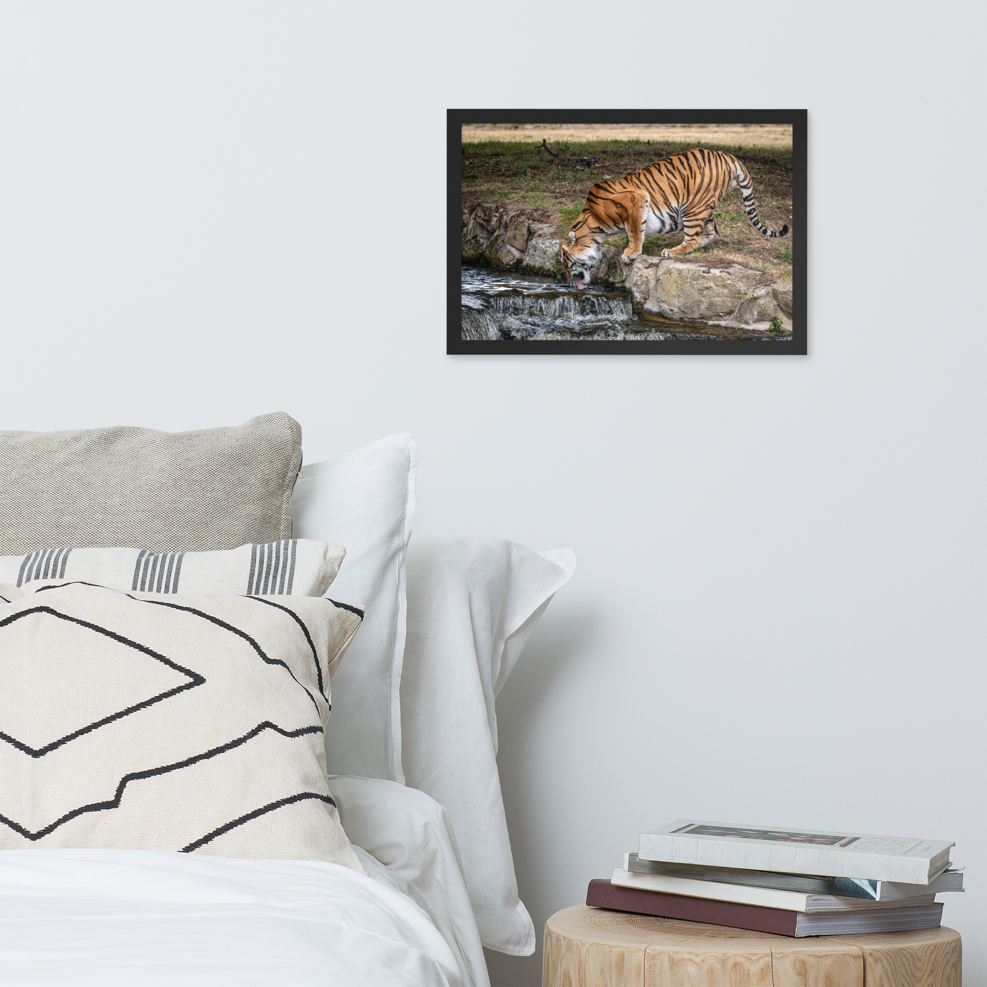 Amur Tiger drinking - Framed fine art print - Image 4